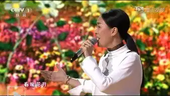 那英在今年春晚上穿的是什么衣服感觉好赏心悦目,有哪位大侠知道,帮忙看看哈,谢谢