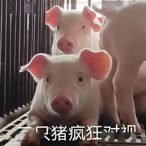 好想关心你