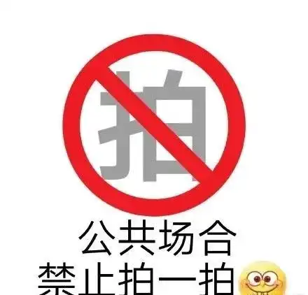 微信新功能拍一拍表情包我被猪拍了