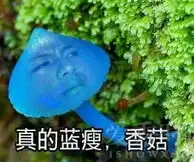 爆笑蓝瘦香菇表情包hold不住笑cry