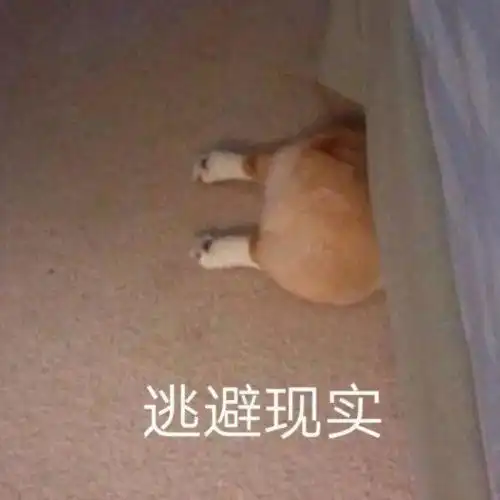 一组有趣可爱的头像请签收