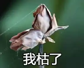真假雨要下到月底但还有比这更残忍的