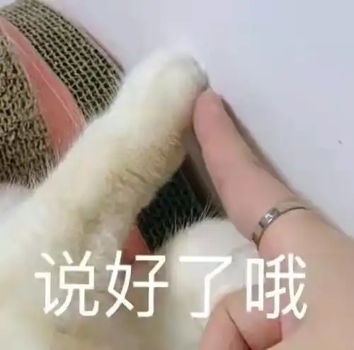 萌宠表情包能不能解救一下无聊的我