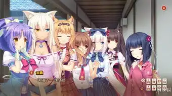 巧克力和香子兰vol.0评测做一名爱猫的绅士
