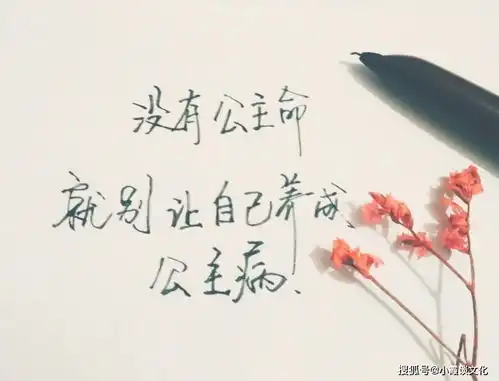 致自己的心灵鸡汤短句,句句精辟,值得反复品读