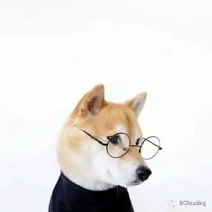 分享唤醒沉睡的阅读