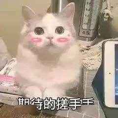 测试一个超长简介的文章