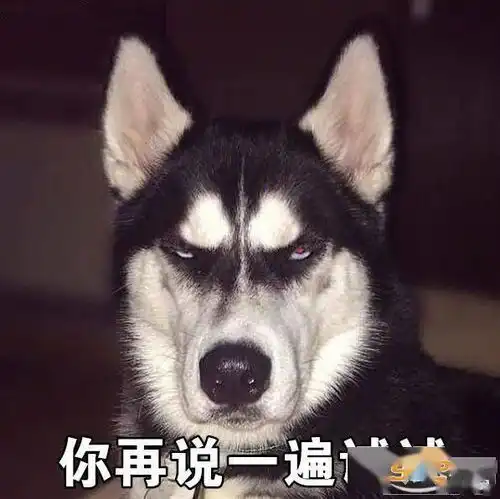 最搞笑的图片都在这了实在是太有魔性了