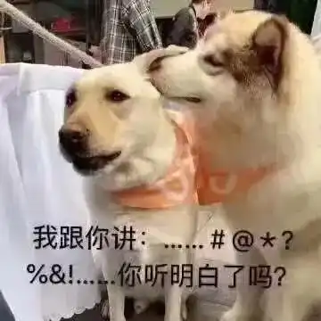 成功学大师除了骗你们的钱,我们从没成功过