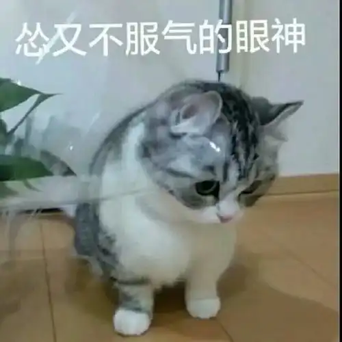 表情包哪来的野鸡给自己加戏
