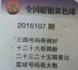 双色球107期彩民乐阳光探码全国联销图