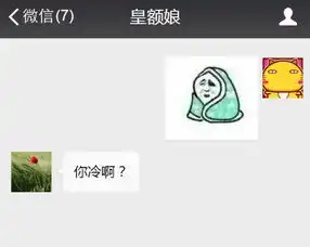 春节回老家,送你一波与亲戚聊天的微信表情包