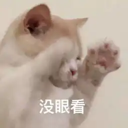猫爱打呼噜,一定要小心