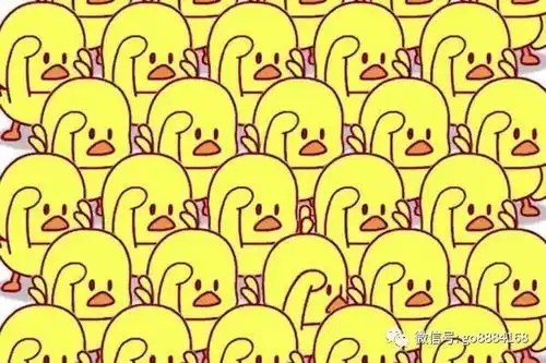 这些小黄鸭送给你们,什么颜色都有,拿去不谢