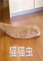 再见漂流瓶联系表情包猫猫虫猫咪图片下载乐游网游戏下载