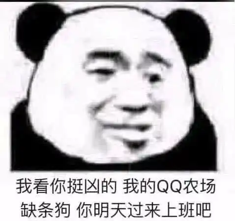对方对你爆粗口表情包炸过去下次再掉厕所我就不要你了