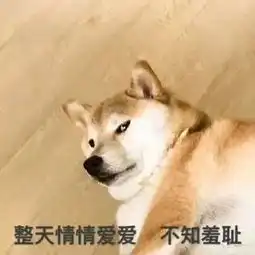 一年一度的情侣vs单身汪大战,你在哪个阵营里笑弯了腰