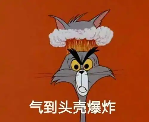 表情包猫和老鼠系列表情包