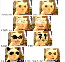 求表情包的名字
