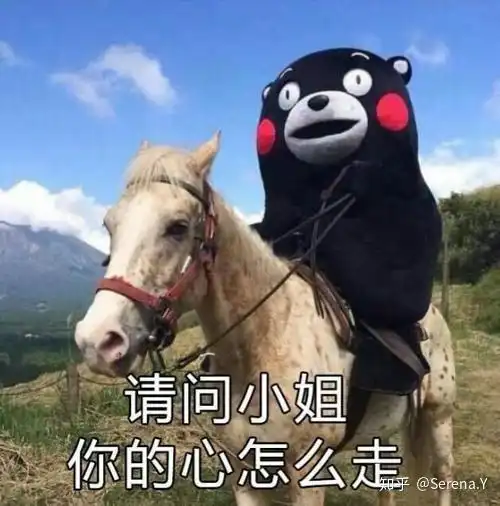 身为非诉律师是怎样一种体验
