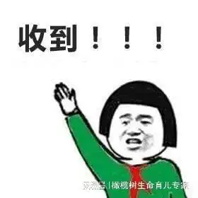 取卵后,有哪些注意事项