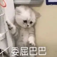 1南物语与舍友书