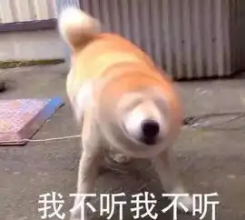生活不止眼前的阴雨,阳光可期大杭州的油菜花都开了