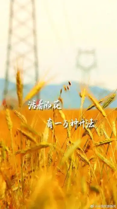 你秋天的壁纸,我们承包了