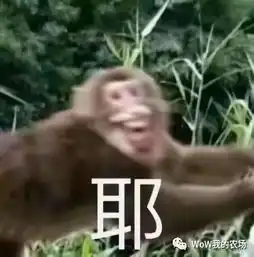 企石有一个qq农场了