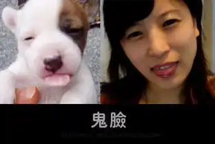 管理员模仿动物搞笑照片蹿红网络