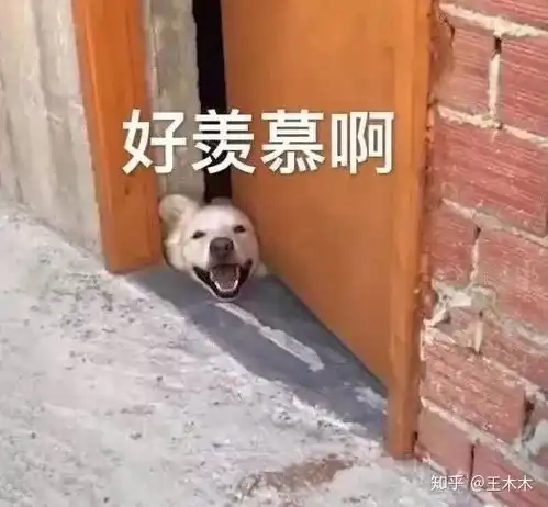 心理学312统考考研儿快看381分的检讨书......