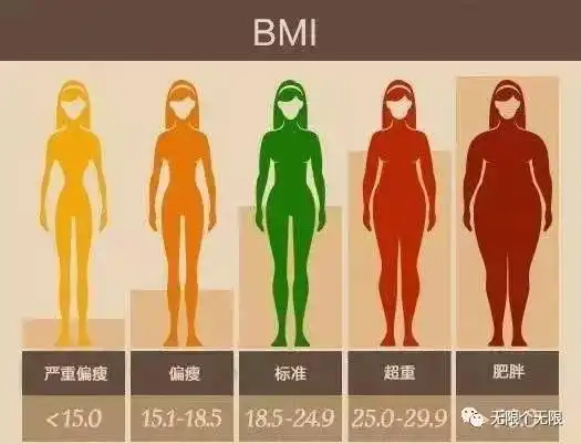 为什么瘦子比胖子更该关注肥胖瘦子必看