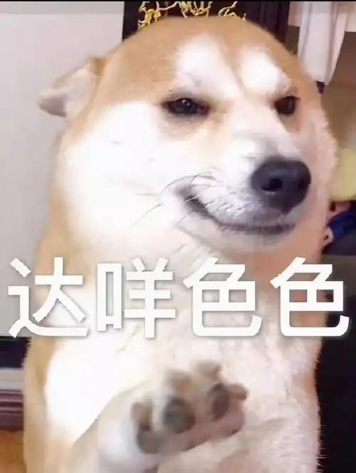开心一刻丨聊天时用得上的俏皮话歇后语