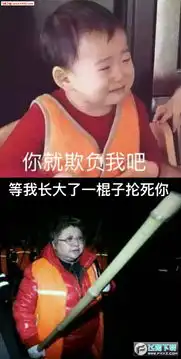 韩红表情包带文字图片下载韩红表情包无水印版下载韩红哭泣表情包飞翔下载