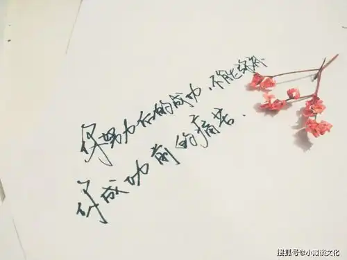 致自己的心灵鸡汤短句,句句精辟,值得反复品读