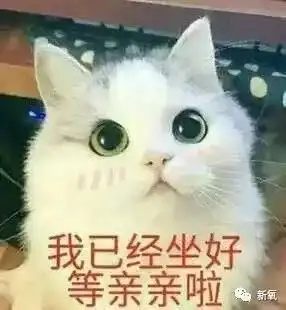 全网热捧的盗版娜扎,不仅资源碾压本尊,还被称为人间精灵