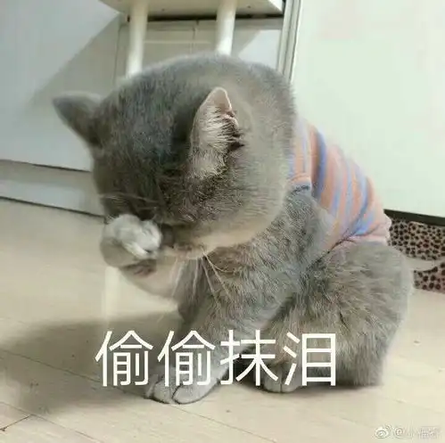 用沙雕表情包的男朋友是沙雕男朋友不
