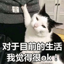 你生平用过最沙雕的表情包是什么