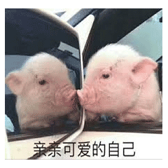 一组亲亲表情包,撩妹专用