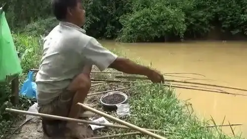 钓鱼这位仁兄有点贪,这么好的鱼口放这么多竿,搞的自己手忙脚乱的
