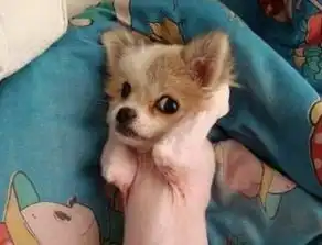 高三同桌是个二货熬夜杀游戏白天猛睡...