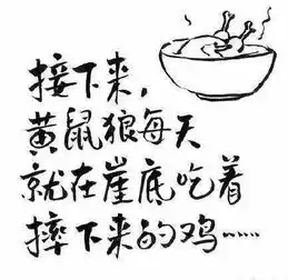 那些很有道理,却是毒鸡汤的句子