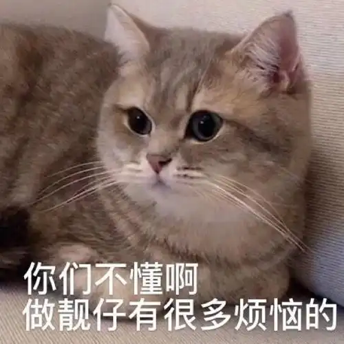 表情包没人疼没人爱,我是地里的一颗小白菜