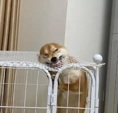 测试一个超长简介的文章