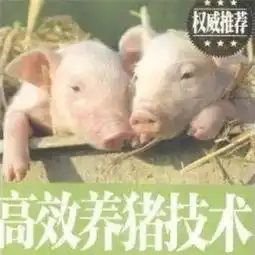 看书图表情包大全