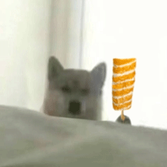 这次举的东西又不一样了