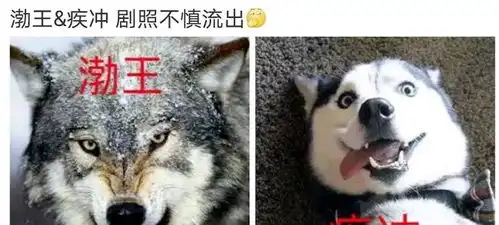 狼殿下台词又土又好笑,网友调侃不愧是喜之狼