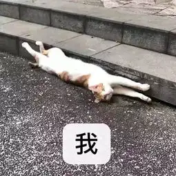 沙雕表情包新的一天从和被窝斗智斗勇开始