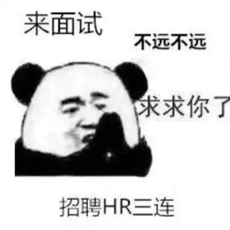 重庆小姐姐揭秘hr的一天说多了都是泪