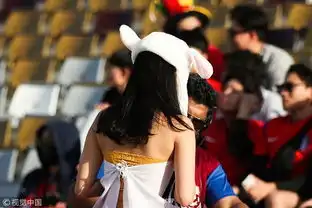 韩国美女球迷国旗抹胸看台助威